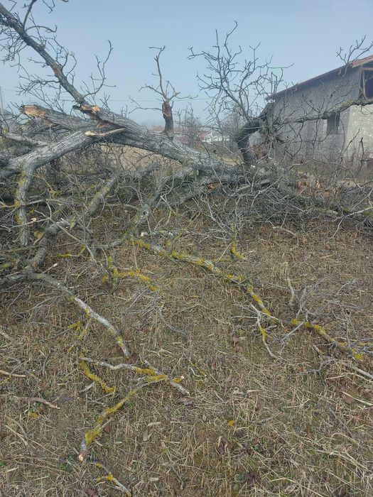 Vand nuc pentru mobila