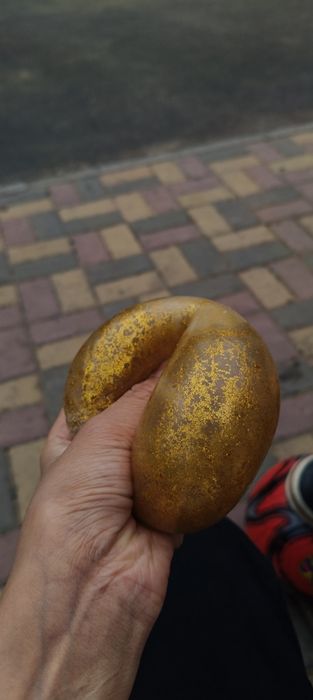 Дамплинг Срочно Продам