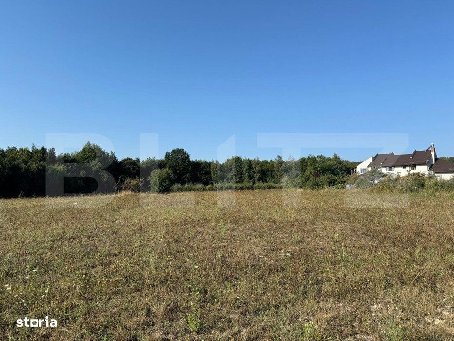 Teren intravilan, 3000mp, com. Darmanesti