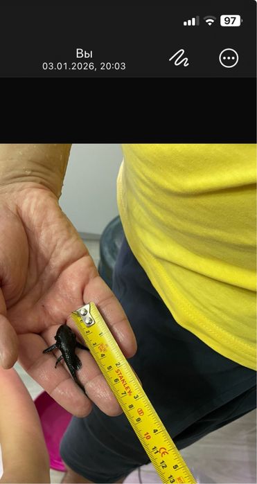 Продаются номерные сомы L181