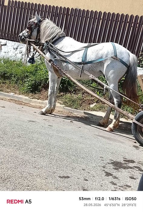 Cai de vânzare tulcea