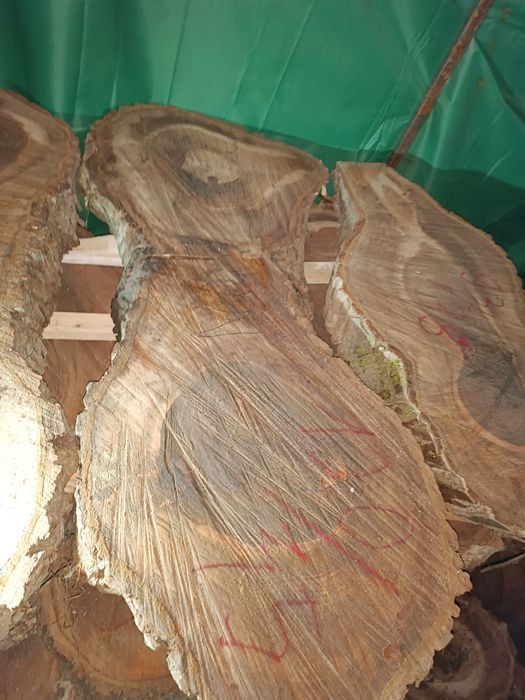 Rondele felli din lemn de nuc