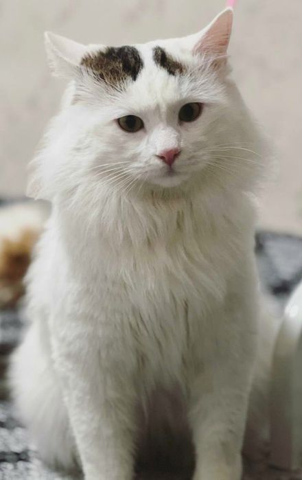 Только ответственным людям!