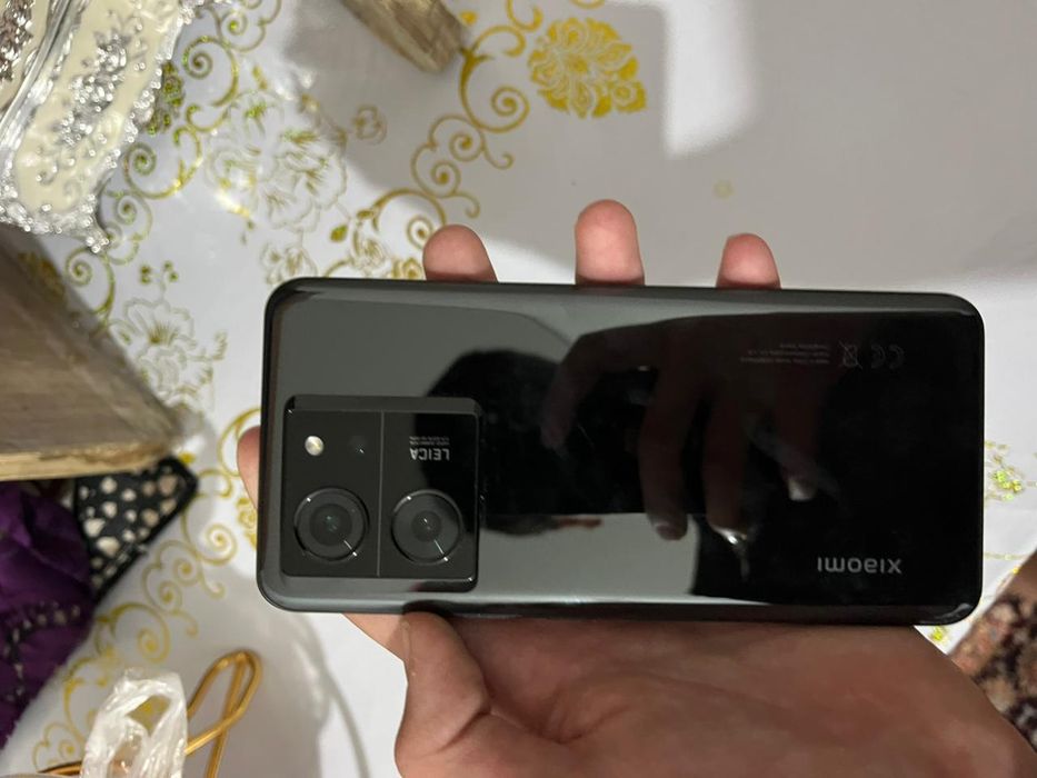 Xiaomi        13t