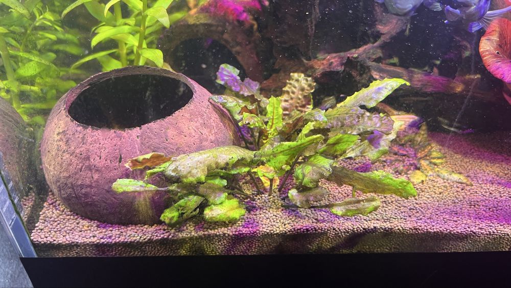 Продам авкариум.