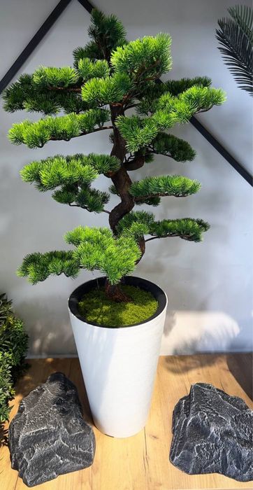 Суний гуллар ва драхтлар