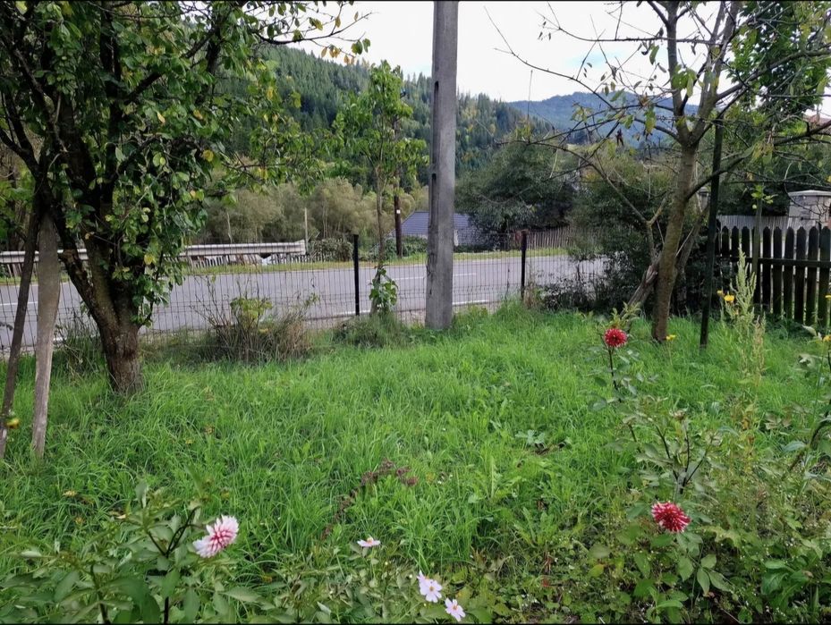 Teren intravilan 2000 mp la munte, Grinties, Neamt, langa Durau