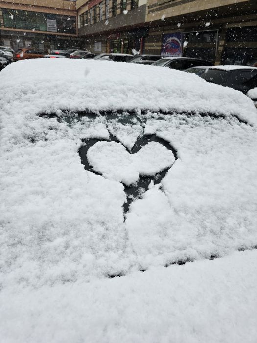 WV GOLF TDI 110 cabriolet