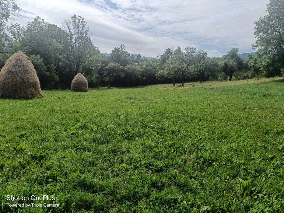 Casă tradițională din lemn + anexă, teren 58 ari, în Breb – zonă retrasă, ideală pentru relaxare sau investiție