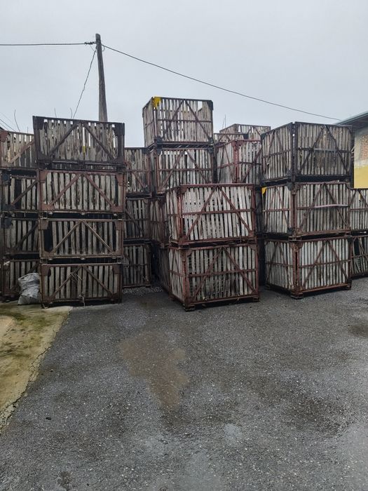 Херсон9,гунг сепадиган сотилади.