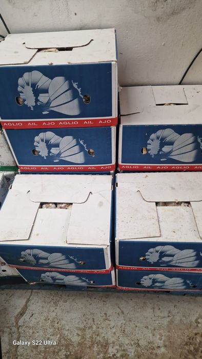 Usturoi usturoi import