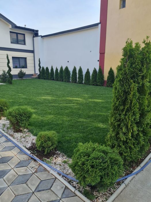 Gazon rulou și sistem de irigații