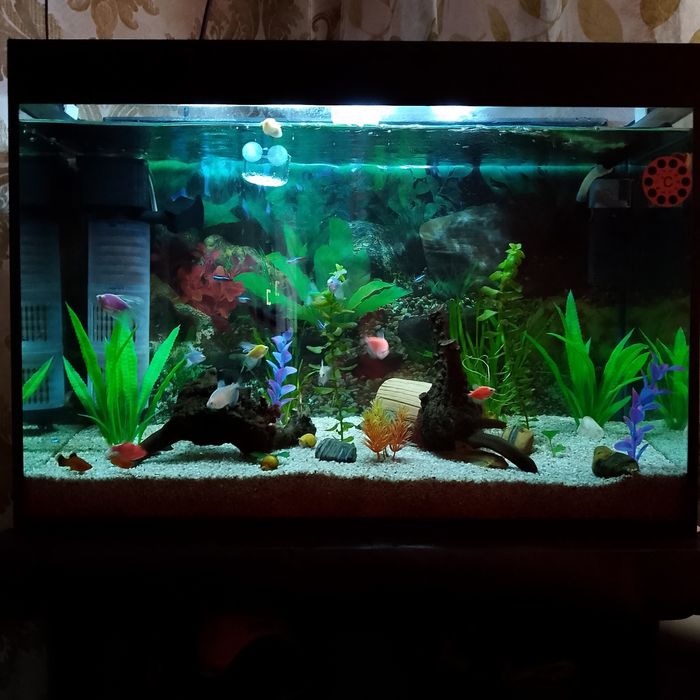 2 аквариума(почти новый),с комплектом и запасами приборами!