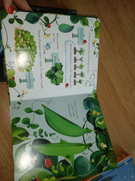 Carti usborne noi clapete