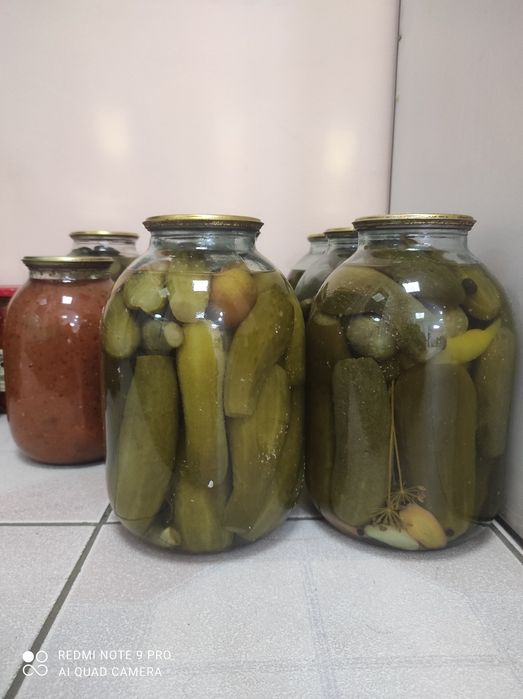 Продам соленья огурцы маринованные