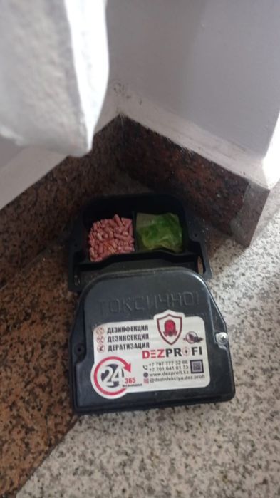 Озонация, фумигация, фогация, дезинфекция от клопов и тараканов ...