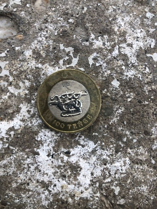 Монета редкая 100 тг