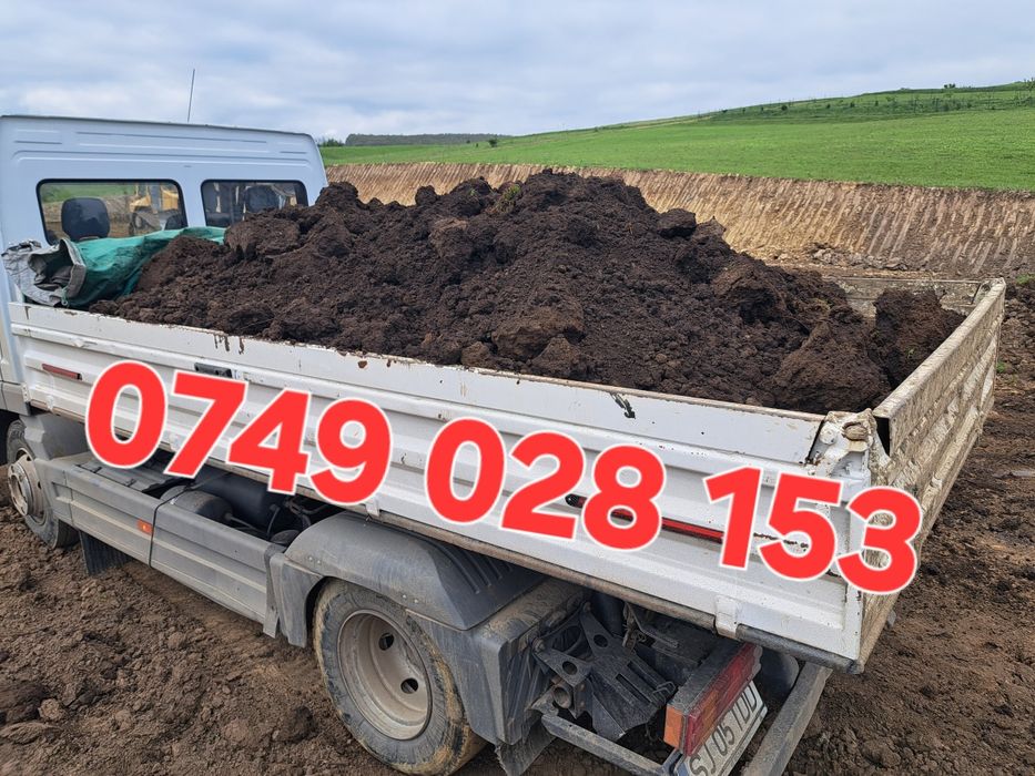 Nisip, sort,piatra,pamant,lemne de foc, material concasat