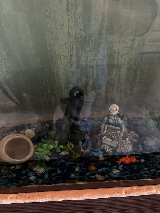 Аквариум сатылады ішіндегі заттарымен