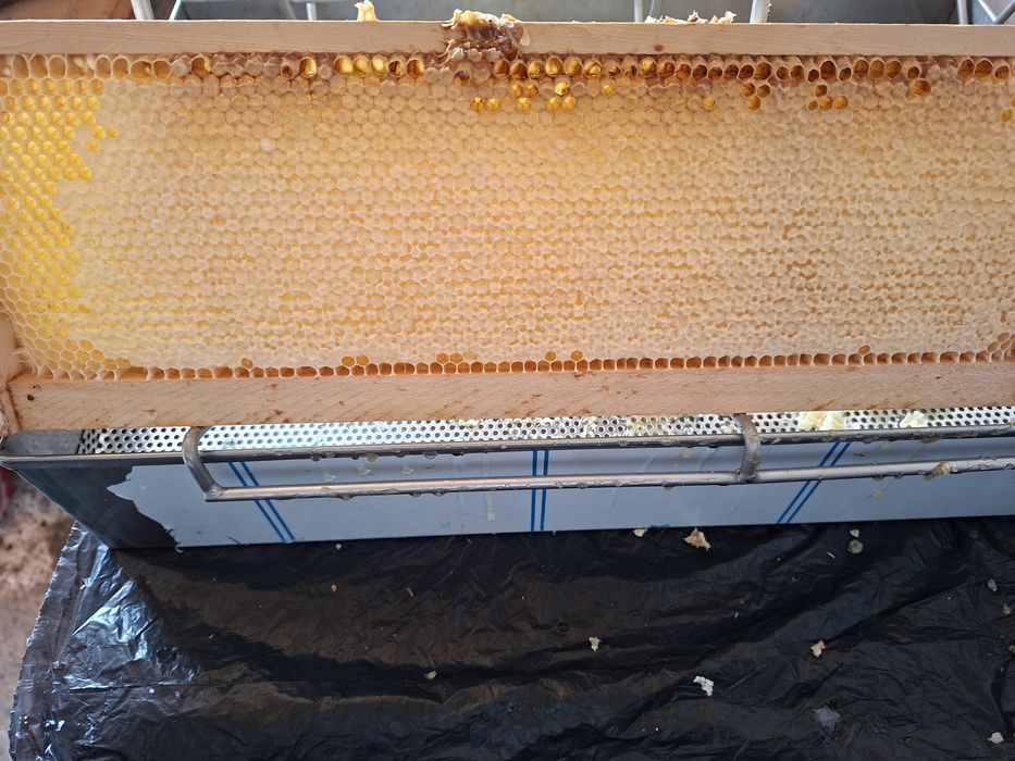 Vând miere de tei și miere de rapiță