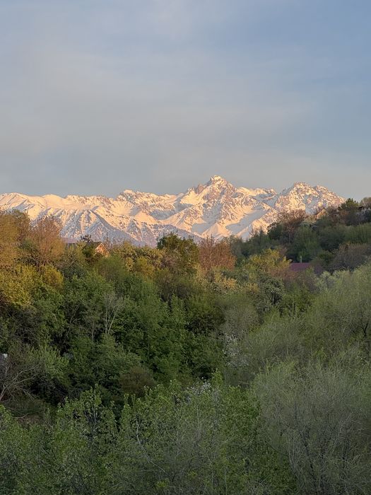 Гостевой дом в алматы