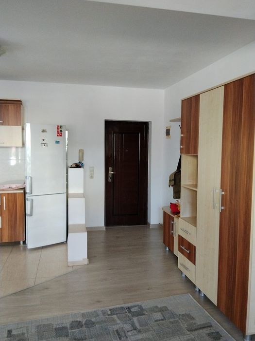 Apartament de inchiriat langa sanovil Viisoara