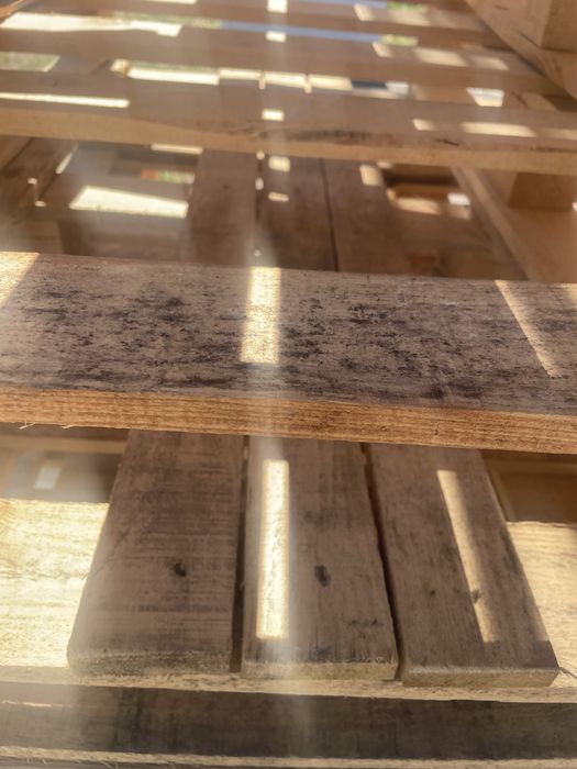 Vand paleti non euro 100x120