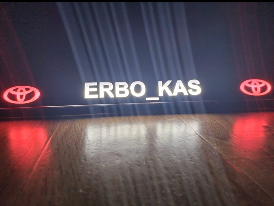 Led подномерники