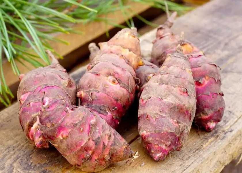 Topinambur.ro - superleguma miraculoasă la tine pe masă 15 lei/kg