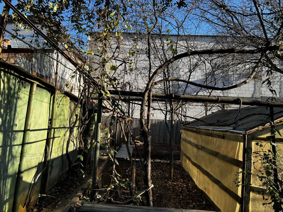 Aparatorii Patriei-Inchiriez casa curte