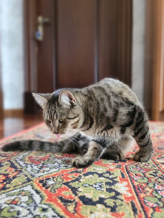 Мушук 6 ойлик угил бола