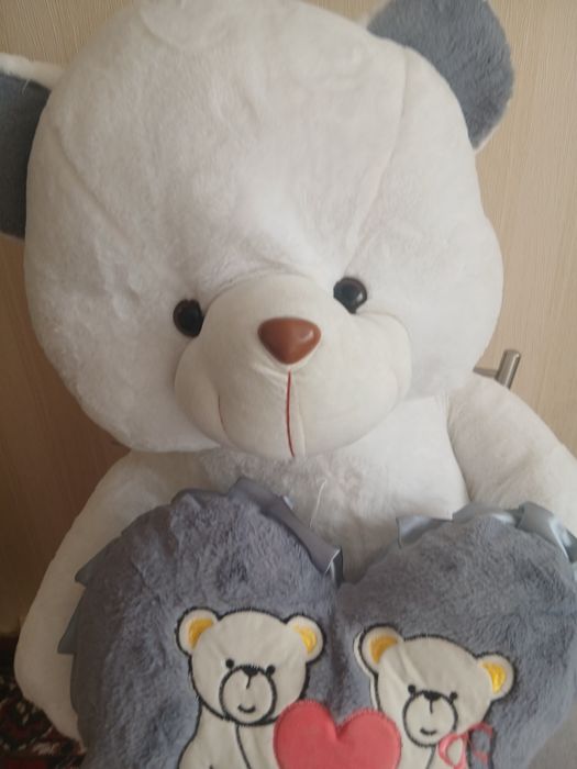 Oq ayiq bòyi 1metr yangi