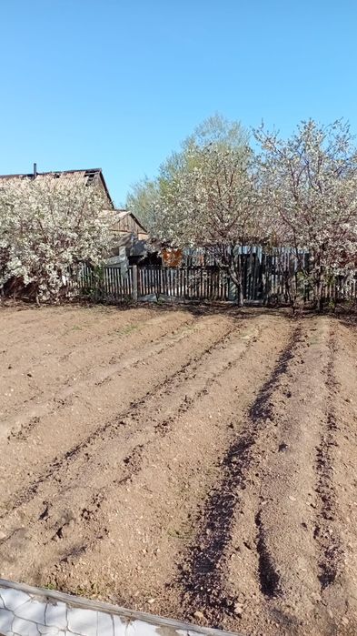 Срочно продам дачу