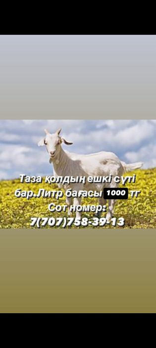 Продается козье молоко