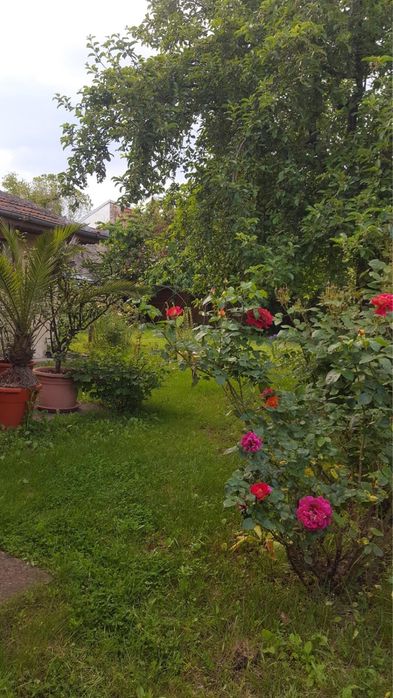 Casa de vanzare in Dorbeta Turnu Severin,langa Dunare