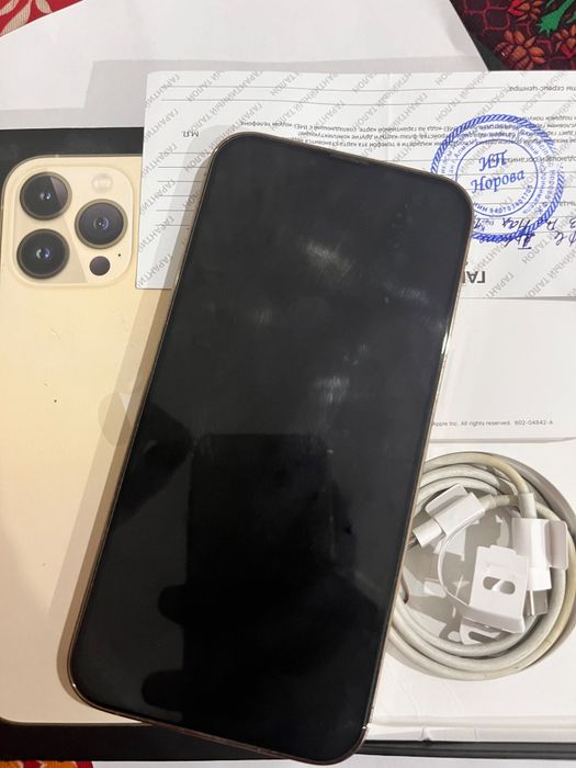 IPhone 13 pro max