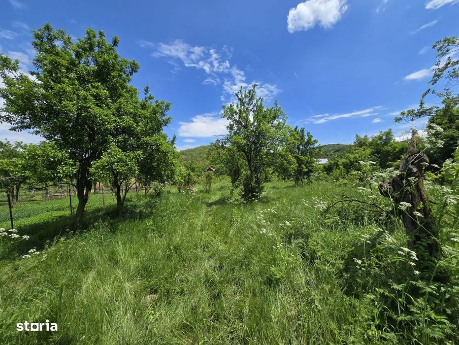 Casa Stroesti, teren = 3450 mp