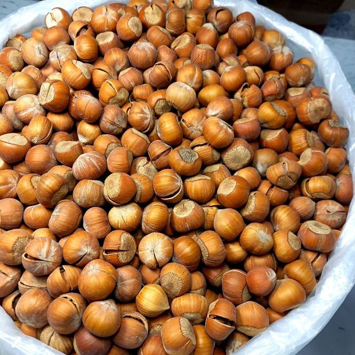 Фундук funduk yongok лесной орех