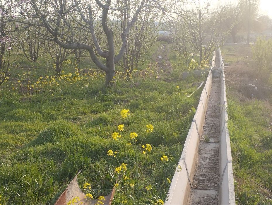 Бог ижарага берилади