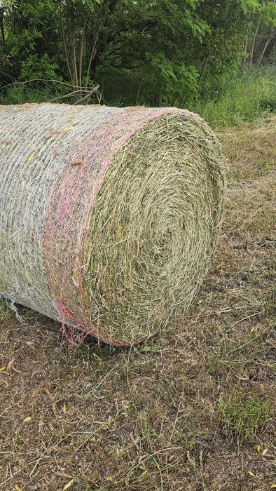 Baloti lucerna 120/120, 0.8lei/kg
