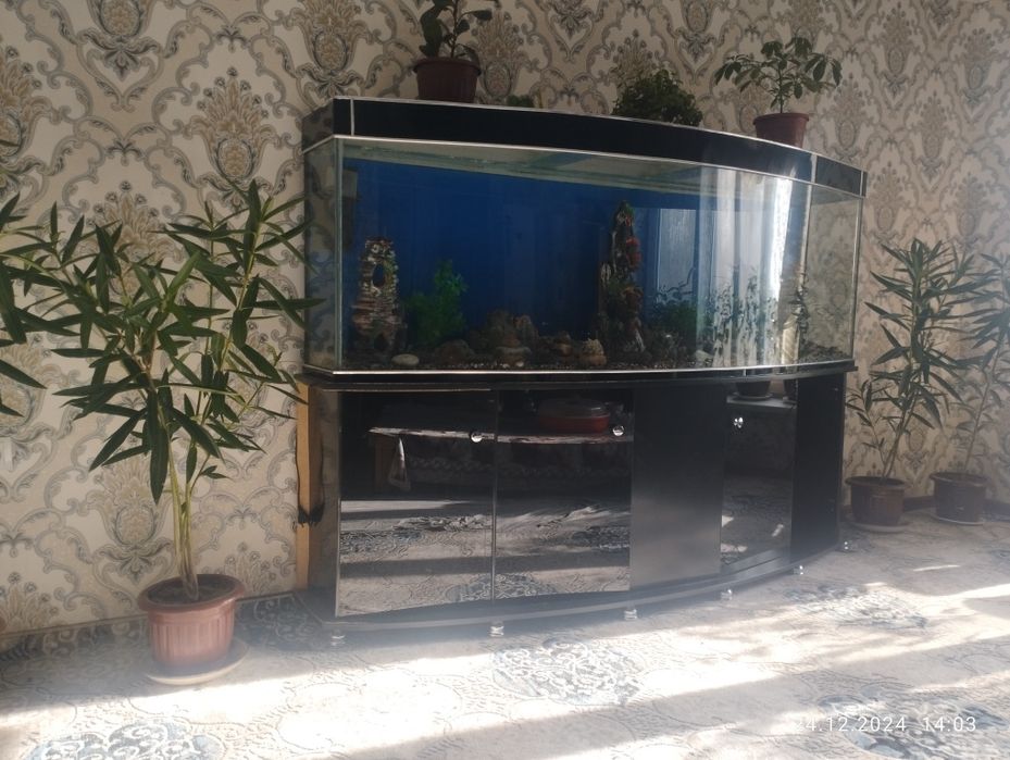 Akuarium satiladi 2 metr . 500 Lt