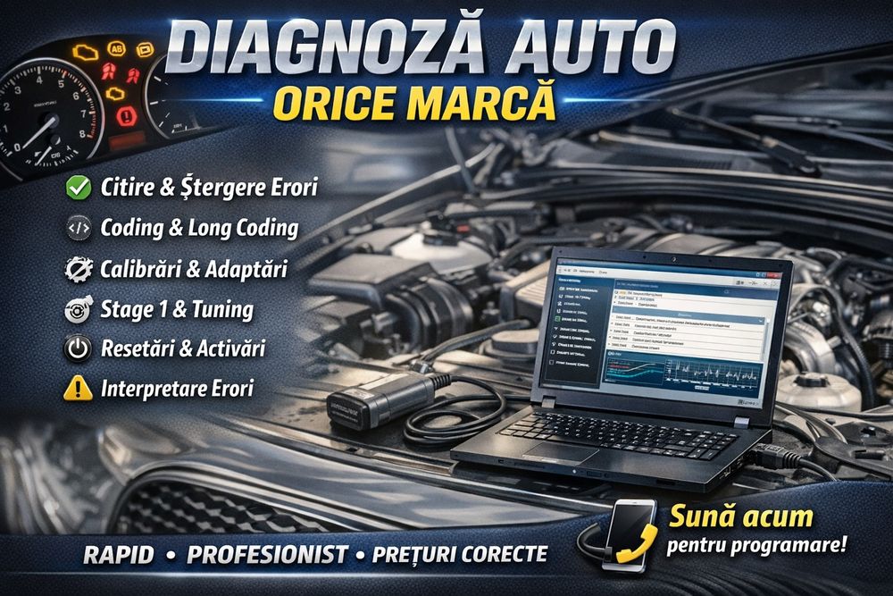 Diagnoza auto / Tester auto / Stergere erori / Deplasari la nevoie !