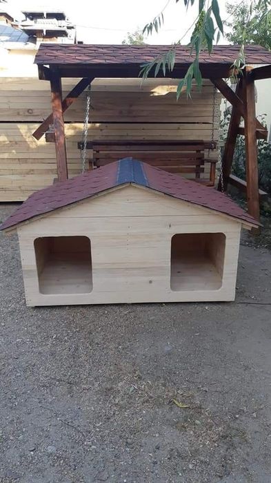 cotețe cățeluși și pisicuțe