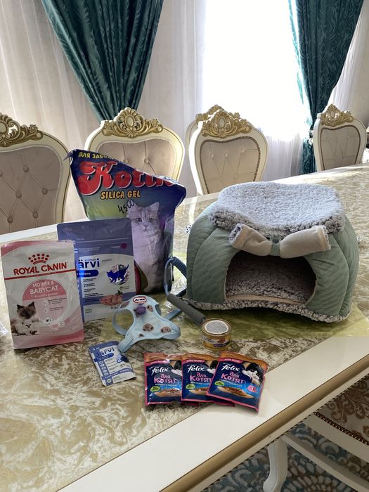 Новый домик для котенка