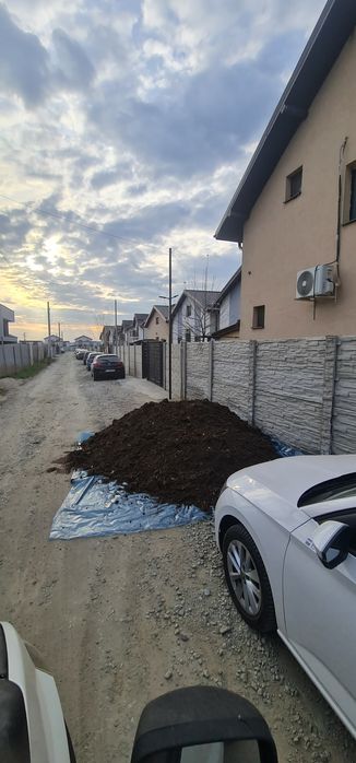 Pamant negru de padure