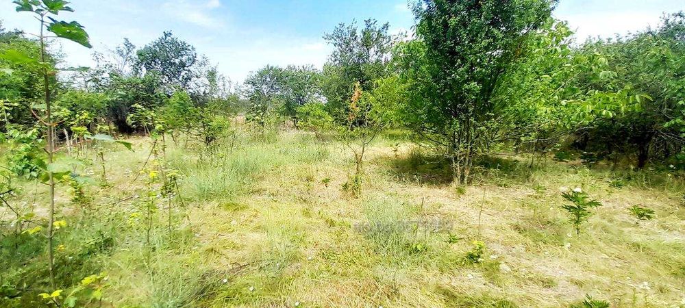 Продава се Парцел в с. Пчеларово, Област Добрич - 90 кв.м за 67 €/кв.м - Снимка #9