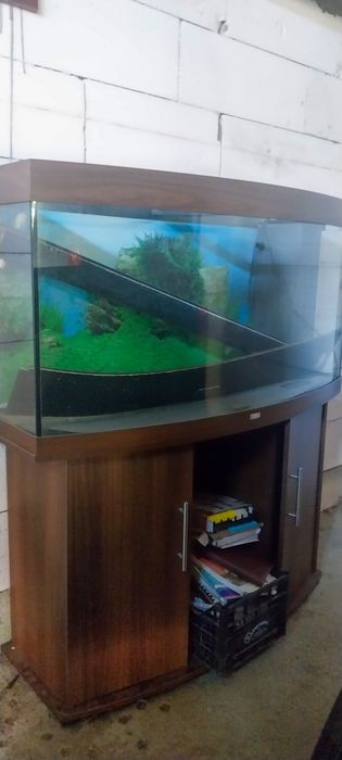 Juwel Vision 260