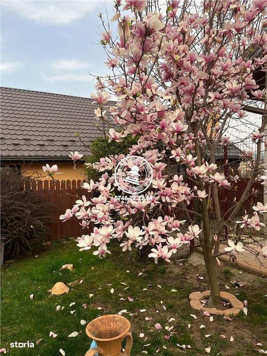 Vila  de vanzare  Horpaz,