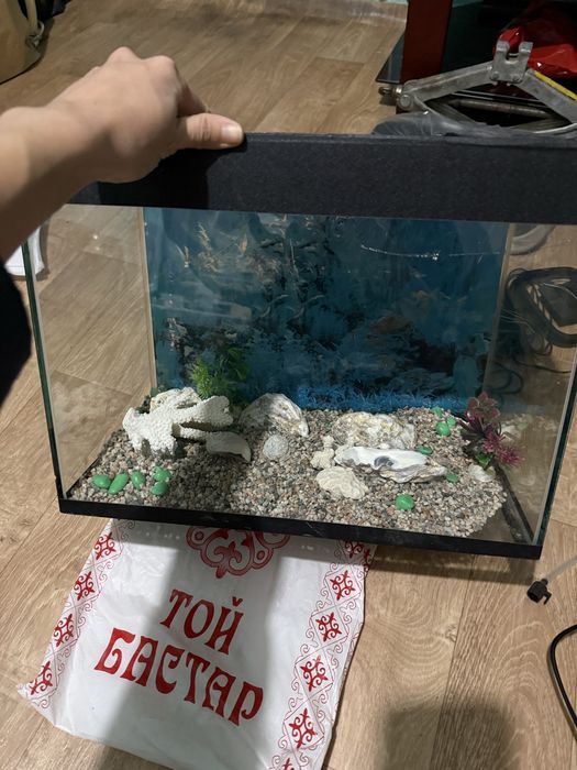 Аквариум для рыб