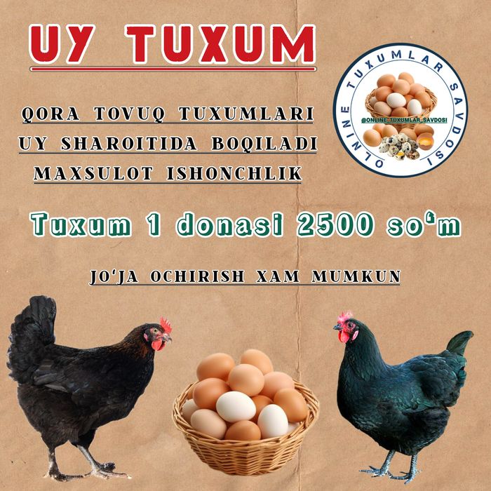 Rus porno yulduzlari videolarini tomosha qiling